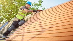 Best Skylight Installation and Repair  in Warrenton, MO