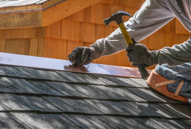 Best Roof Moss and Algae Removal  in Warrenton, MO