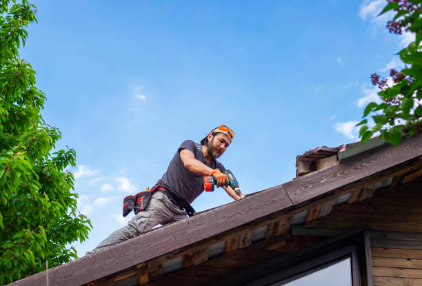 Best Emergency Roof Repair Services  in Warrenton, MO